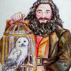 Подарок на день рождения