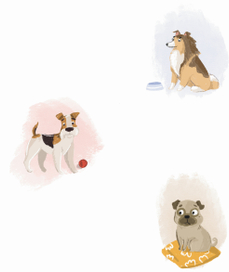 Иллюстрации к изданной книге О. Замятиной "Моя собака - чудо