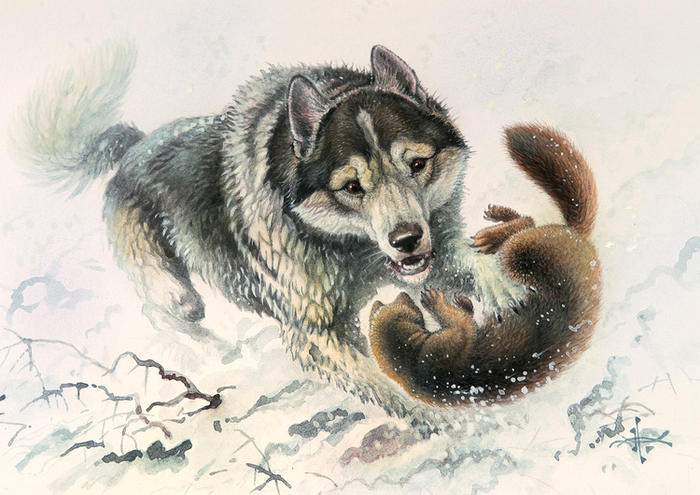 Соболятница .