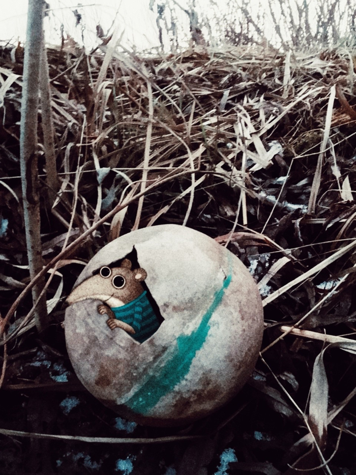 Барабашка мыш 