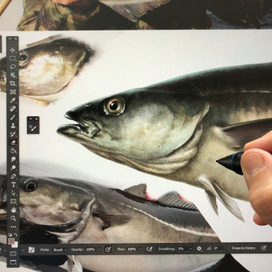 Иллюстрации для упаковок