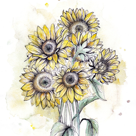 Sunflowers