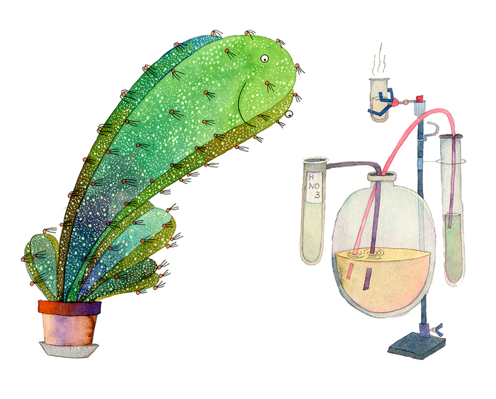  "Как исчез директор школы"