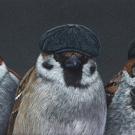 Острые клювы