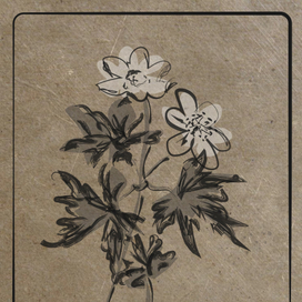 Открытки по проекту "Эко-Кижи"