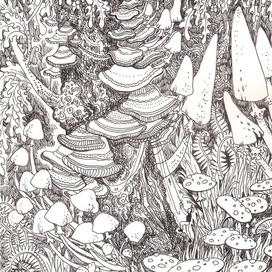 ГрибыыыыыыЫ 2