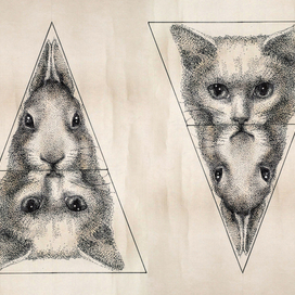 мои питомцы