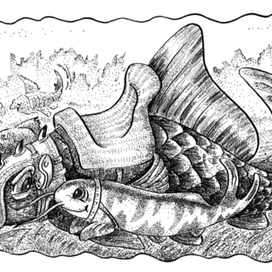 Скакуны Акватики