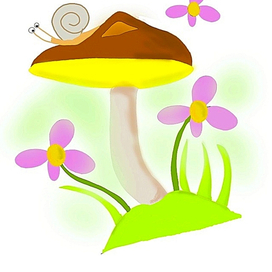 Грибочки и улитка