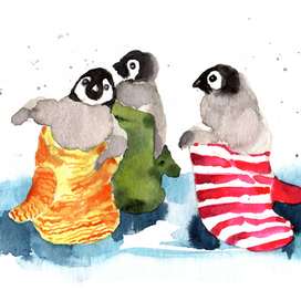 Зима пришла