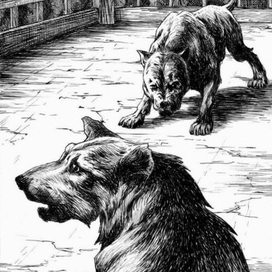 Перед схваткой