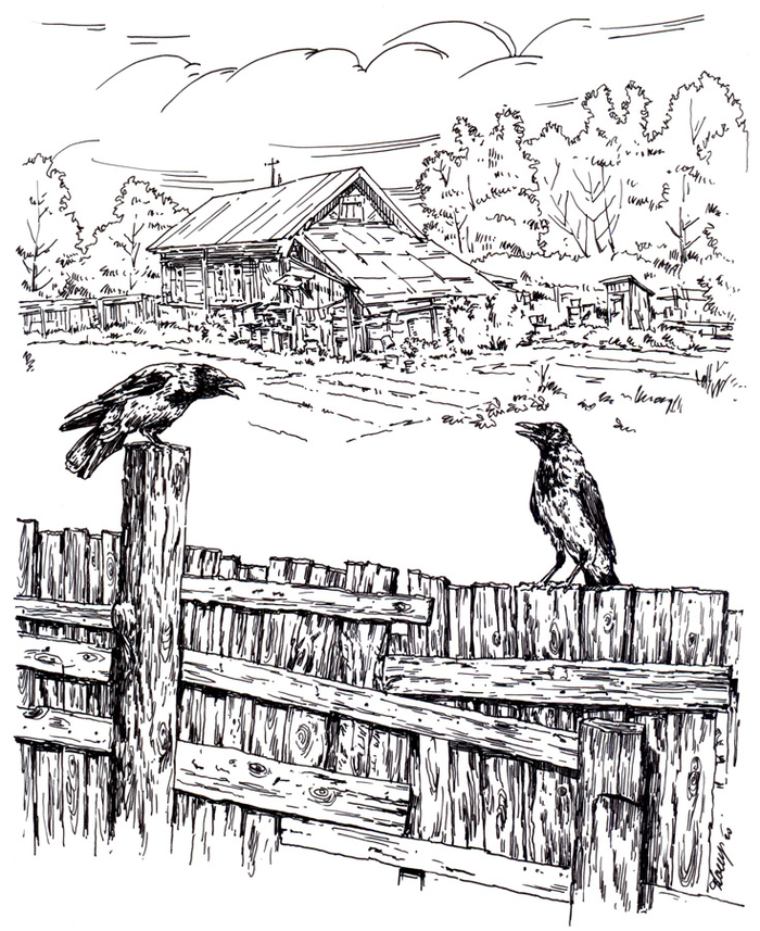 Разборки на заборе