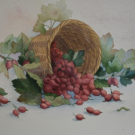 Натюрморт с крыжовником