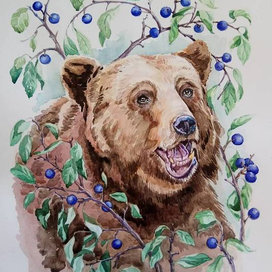 Мишка в терновнике