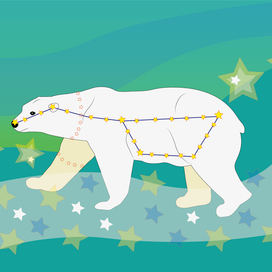 Звёздная медведица