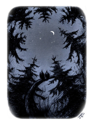 лесная астрономия