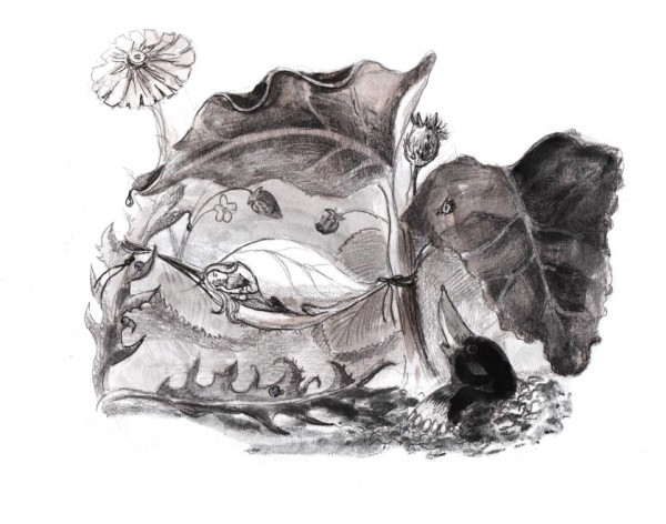 дюймовочка и крот