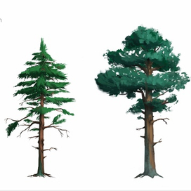 Дизайн окружения: деревья 