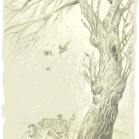 Большие деревья 2