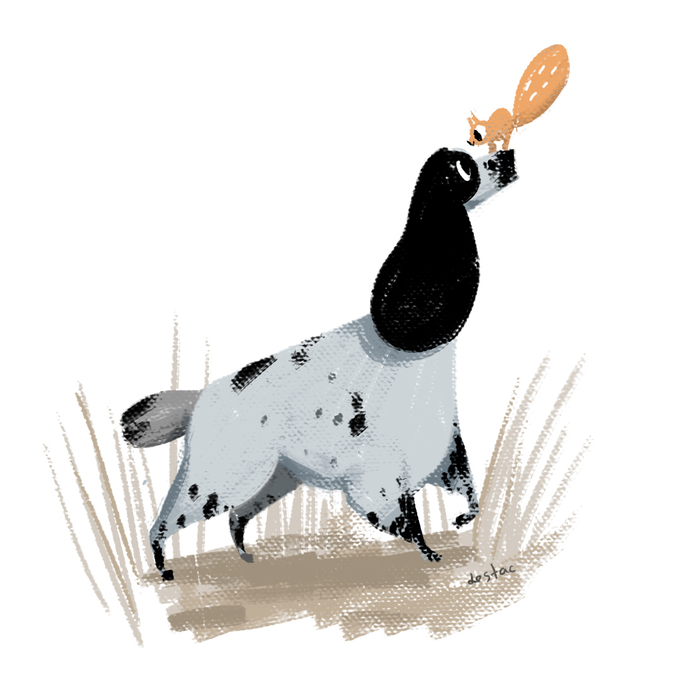 Русский спаниель