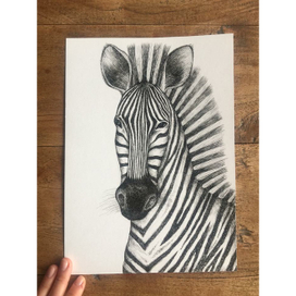 Иллюстрация для упаковки шоколада