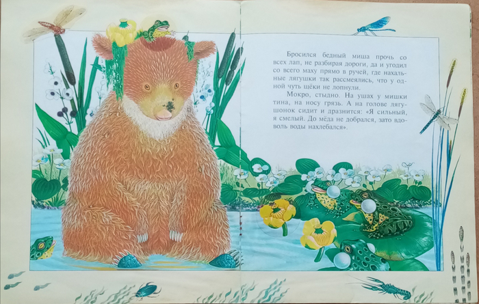 Как мишка за.... 