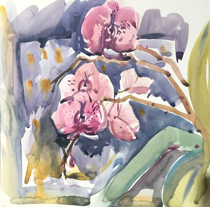 Вечерние орхидеи