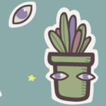 Кактусы с глазами