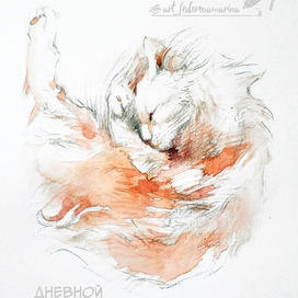 дневной сон