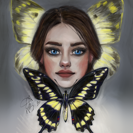 В мире бабочек