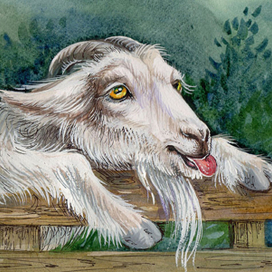 Вредная коза