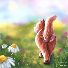 Летняя прогулка