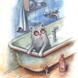 Банный день