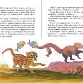 Коати и Жагуатирика 15