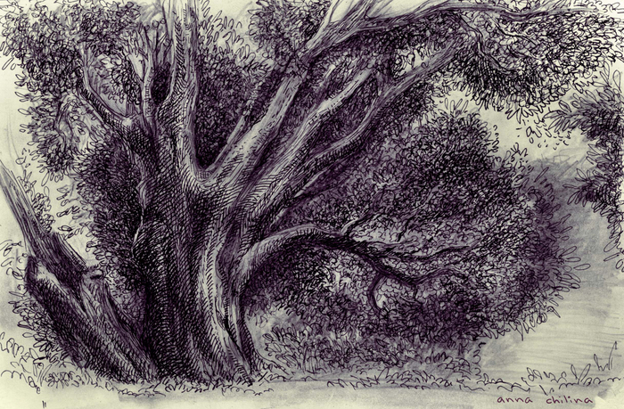 из серии "в Коломенском"