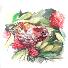 маленькие пички