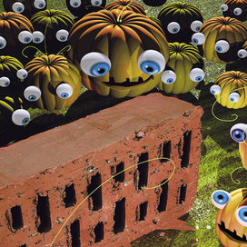 застройщики