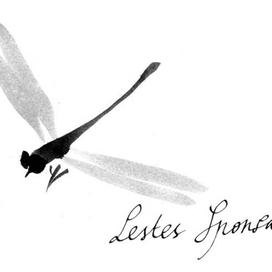 заставка для романа Анники Тор