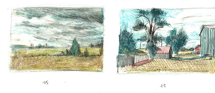 Летние зарисовки