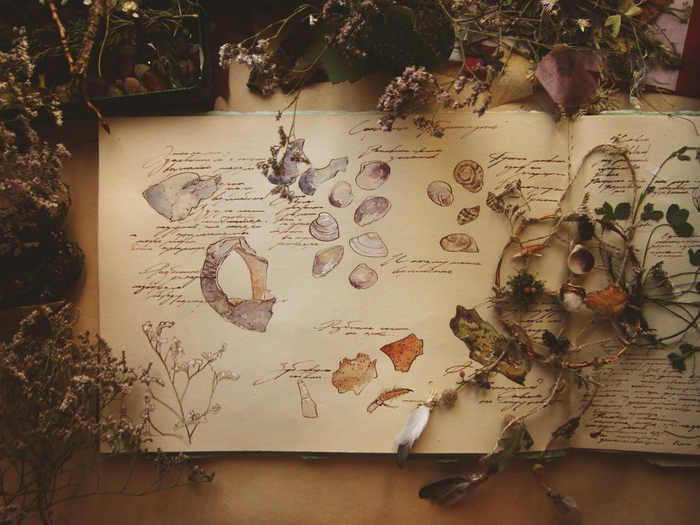 Сокровища Тарханкута