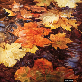 Кленовые листья 