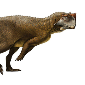 Psittacosaurus sibiricus