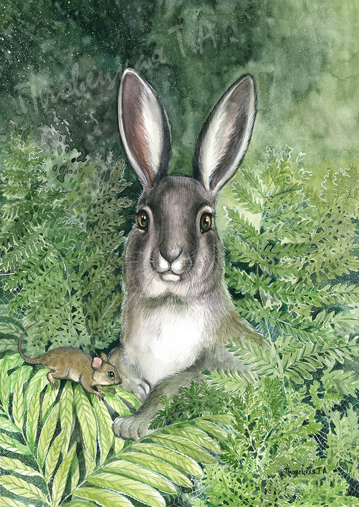 Трусишка зайка серенький