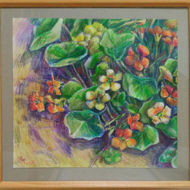 Этюд с настурцией.