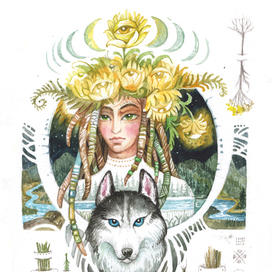 горные травы