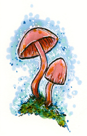 Поганочки (Серия "грибы")