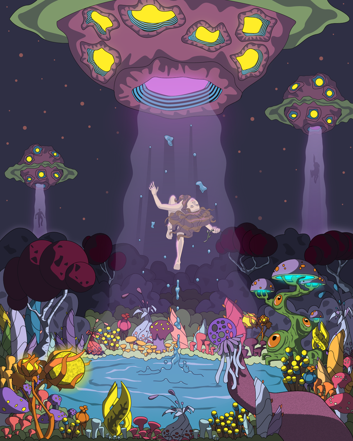 Похищение с неизвестной земли 