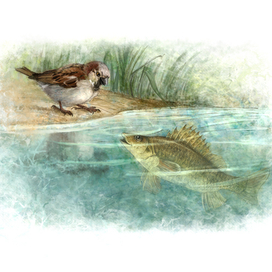 Воробей Воробеич и Ерш Ершович