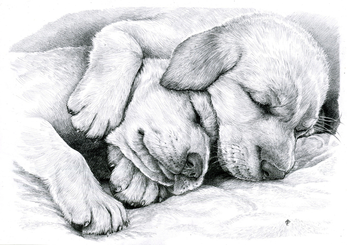 Сладкий сон