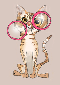 Любопытство